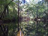 Congaree NP 10